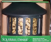 squirrel_dinner2.jpg